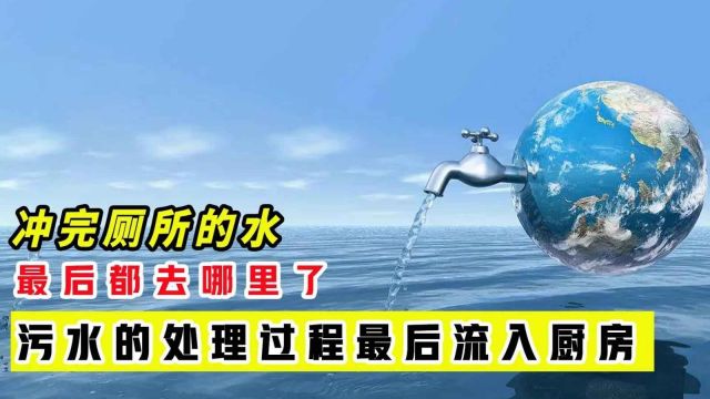 冲完厕所的水最后去哪里了？