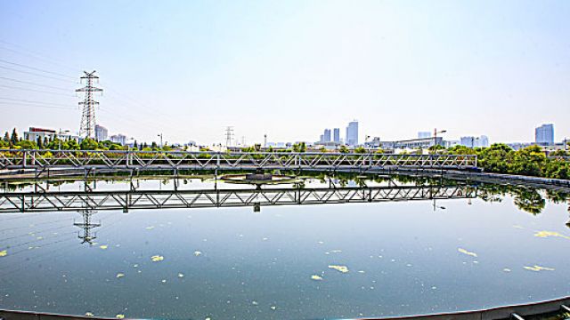 COD、氨氮、总磷、总氮处理效果不佳的原因有哪些？